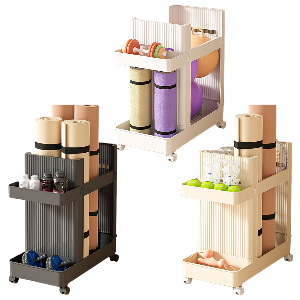Sports Equipment Storage Rack  - Sports Equipment Trolley review and price
