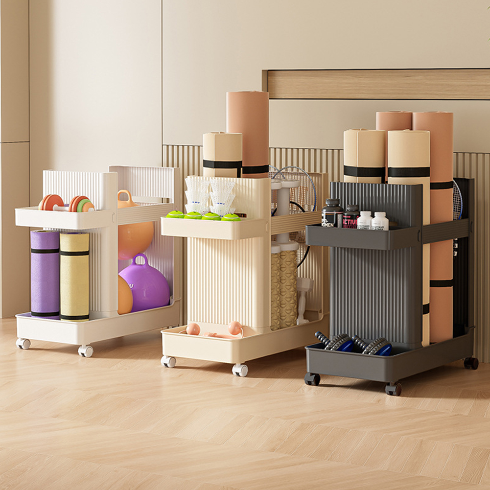 Sports Equipment Storage Rack  - Sports Equipment Trolley review and price