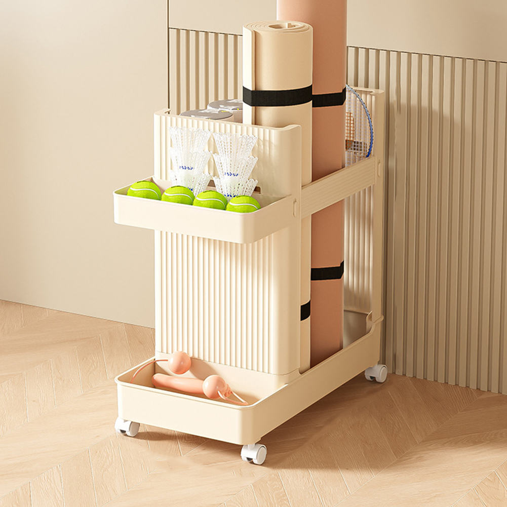 Gym Equipment Organizer Trolle - Sports Equipment Trolley review and price
