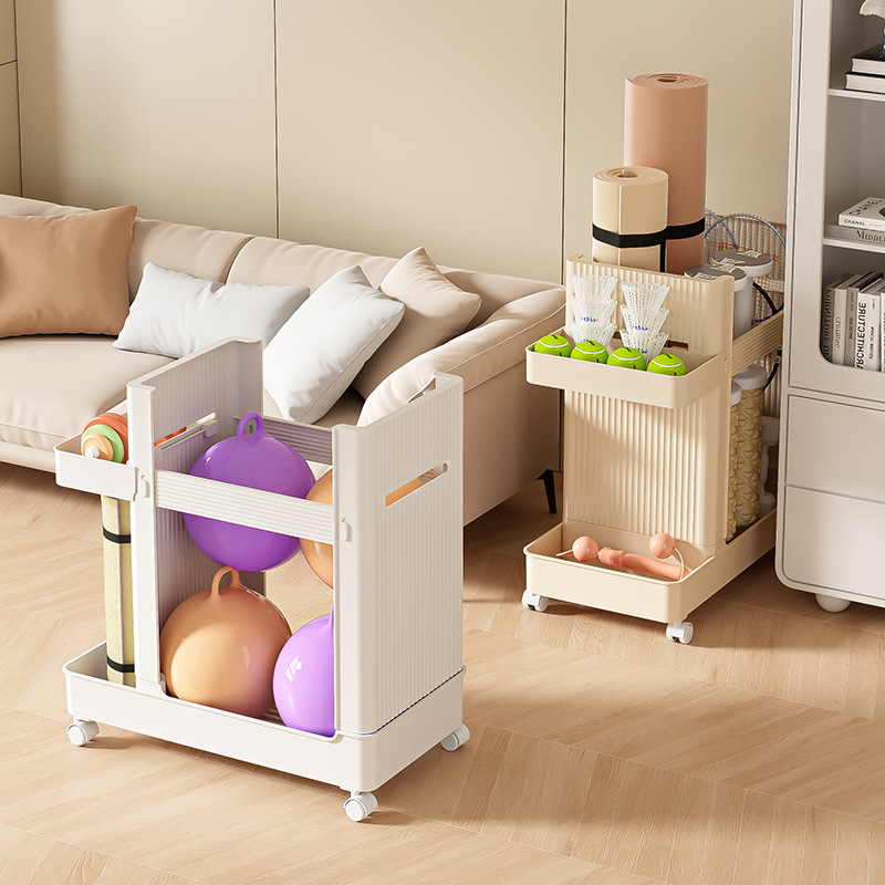 Sports Equipment Storage Rack  - Sports Equipment Trolley review and price