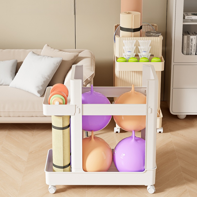 Sports Equipment Storage Rack  - Sports Equipment Trolley review and price