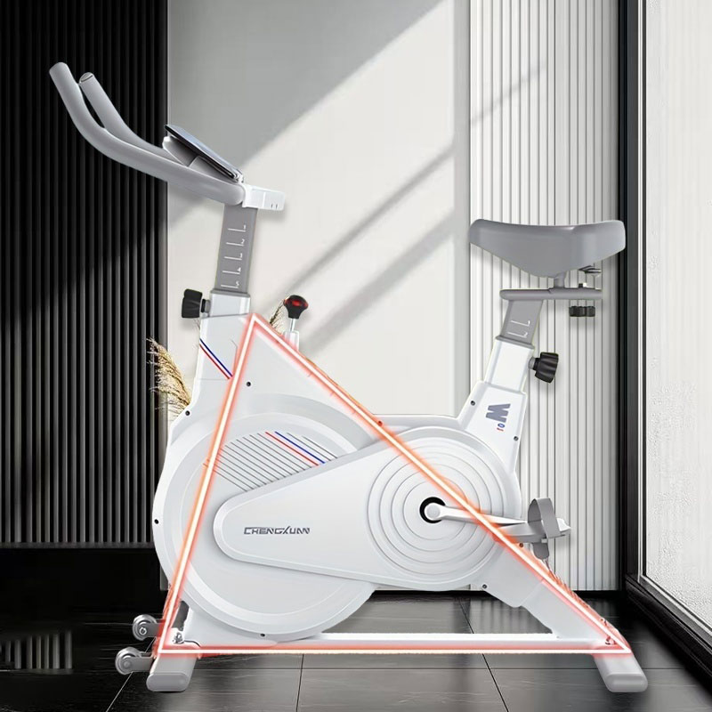 Indoor Stationary Spin Bike, S - Sports Equipment Nearby review and price